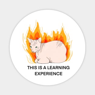 This is a learning experience Magnet